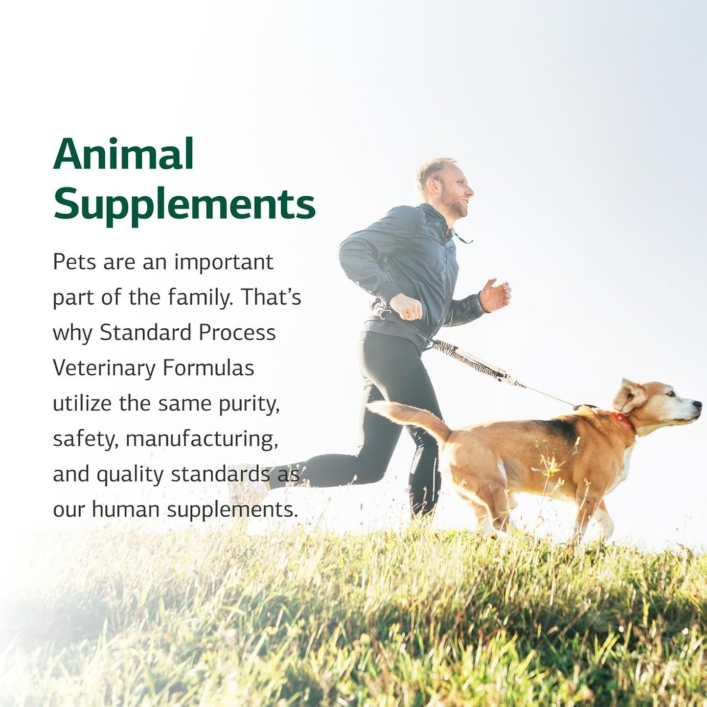 Canine Flex Support, 100 Wafers
